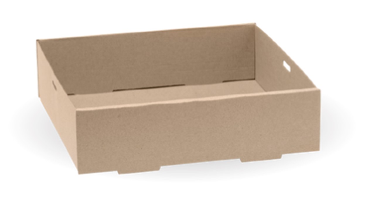 Food Cater Box Biopak Small 225x225x60