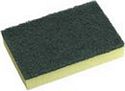 Scourer Sponge 150x100mm Green